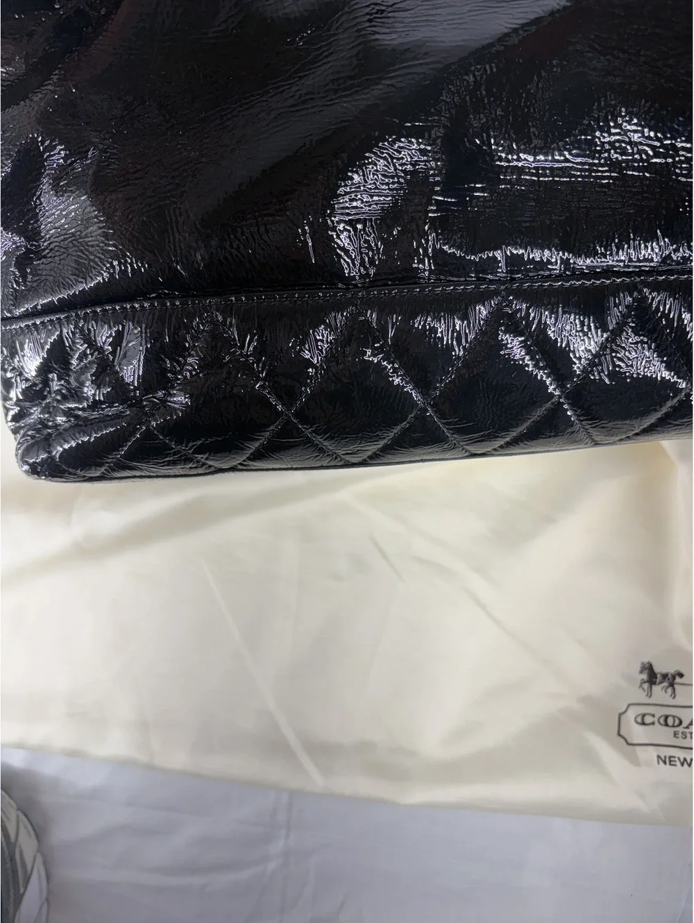 Coach Black Poppy Daisy Liquid Gloss Bag with Pink Lining. Dust Bag And Tags